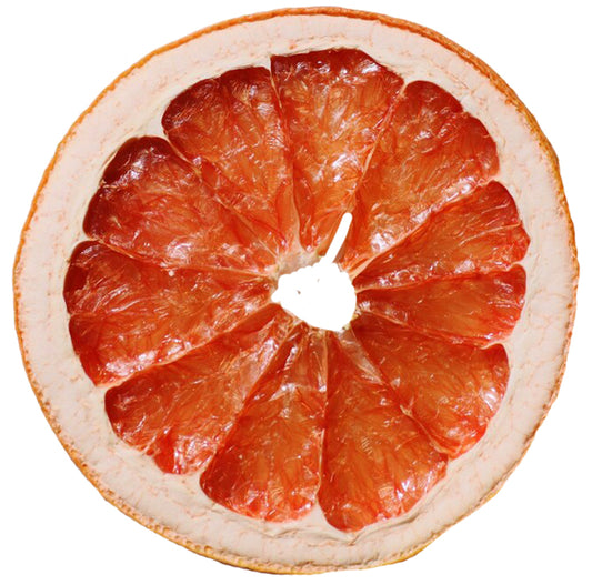 Dehydrated Grapefruit